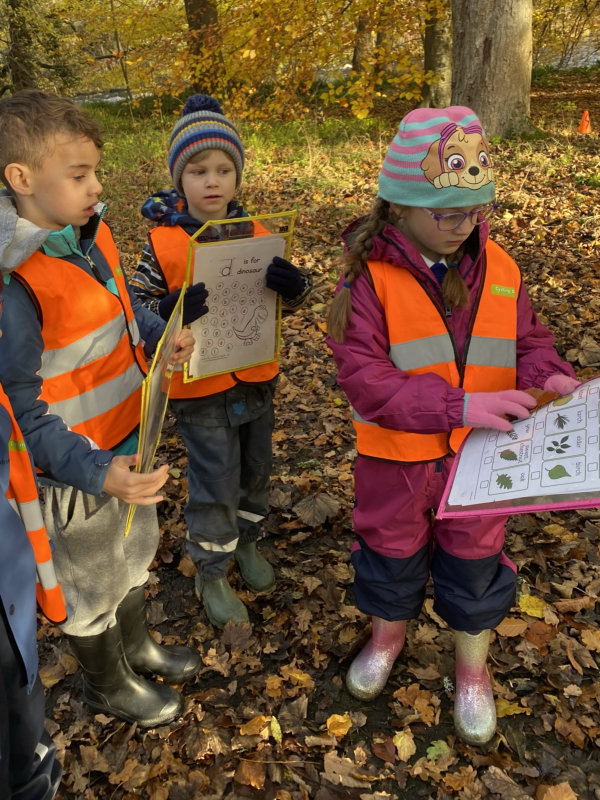 First Level identifying trees by their leaves Underbank Primary School