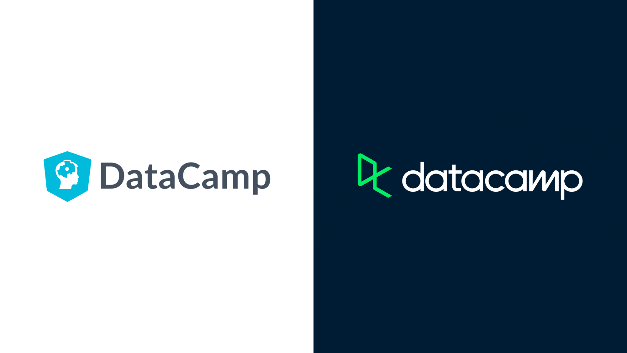 Brand New New Logo for DataCamp