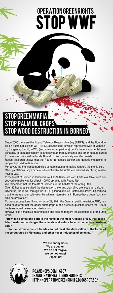 L Orang Outan Le Wwf Et Les Anonymous Une Lecon Planete Sans Visa