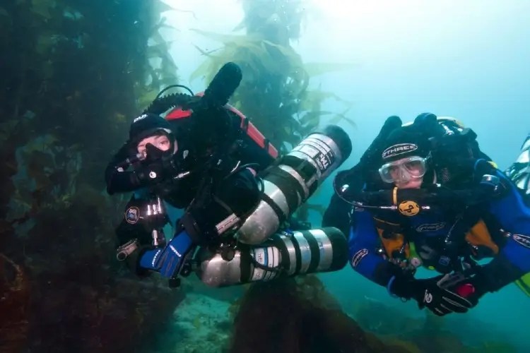 Can You Scuba Dive with Pure Oxygen? Underwater Mag