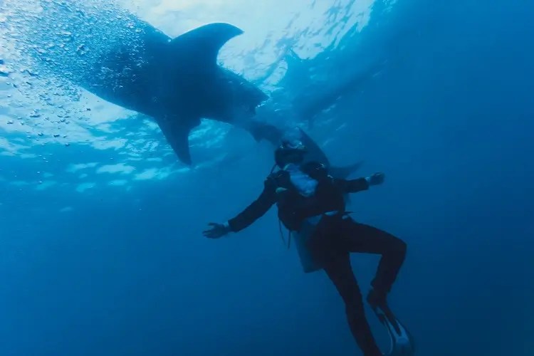 Can You Scuba Dive Without Certification? Underwater Mag