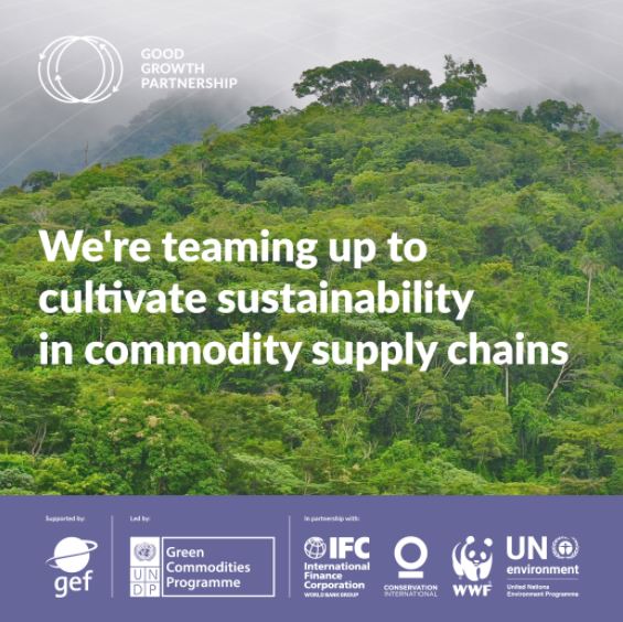 UNEP FI to contribute to unprecedented effort to place sustainability
