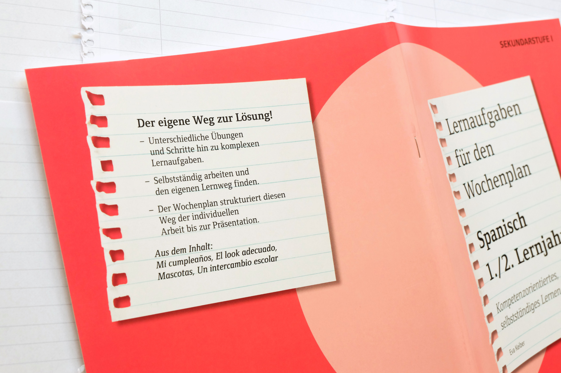 Ungermeyer graphic affairs / Cornelsen Paedagogik