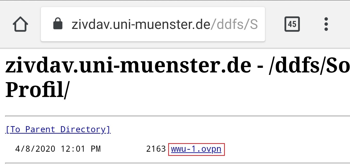 IT OpenVPN Android