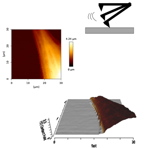 AFM Universität Ulm