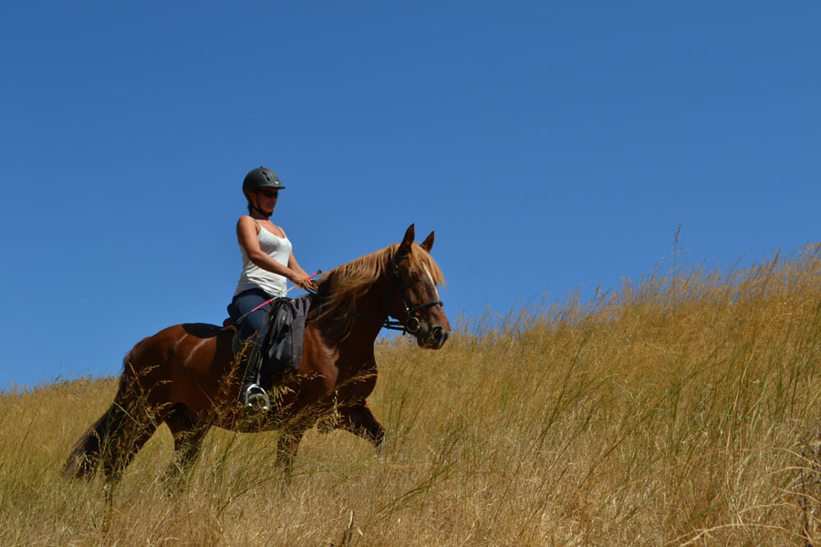 Panoramic Rides, Crete, Greece Horse Riding Holidays