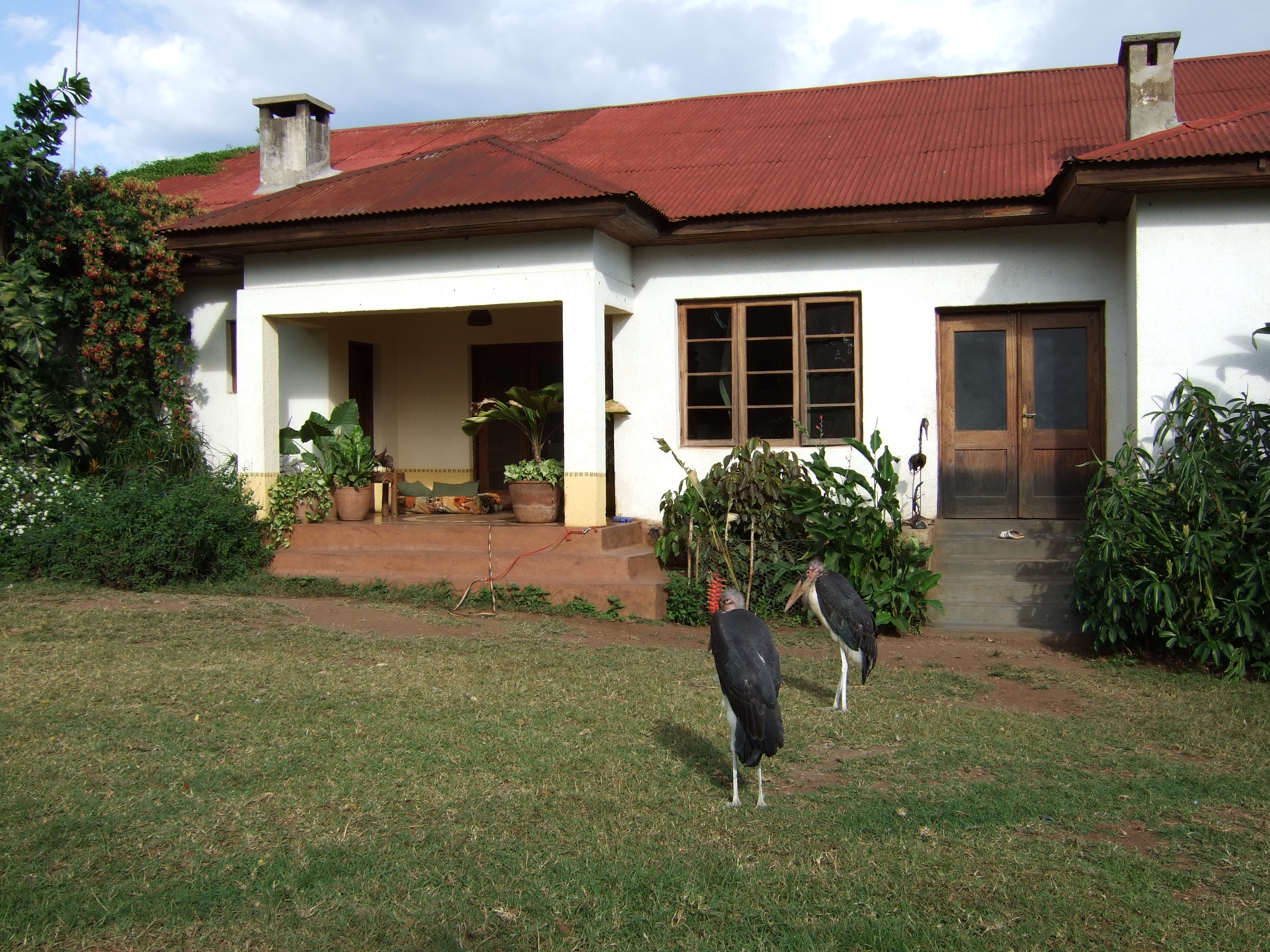 Promo [60 Off] House Of Changes Roof Gardens Tanzania 3 Star Hotel