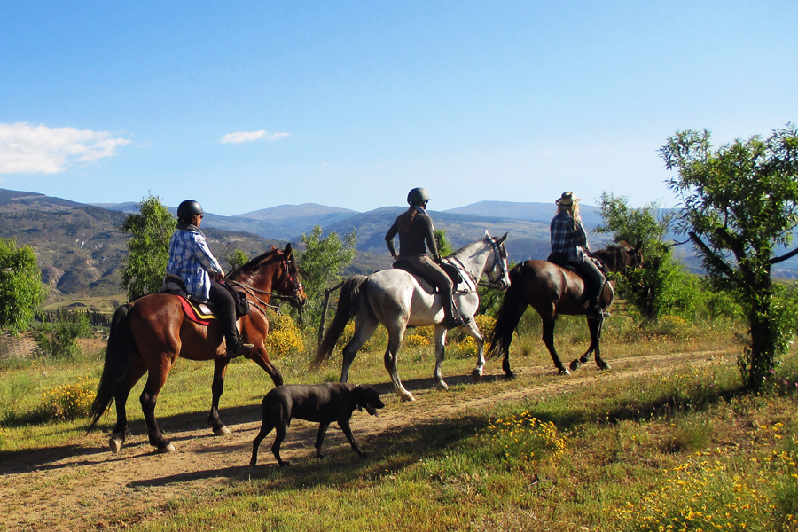 Tabernas Desert Route, Spain Horse Riding Holidays