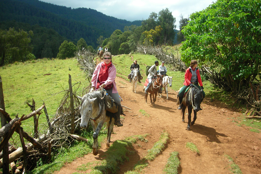 Abyssinian Highlands horseback tour in Ethiopia