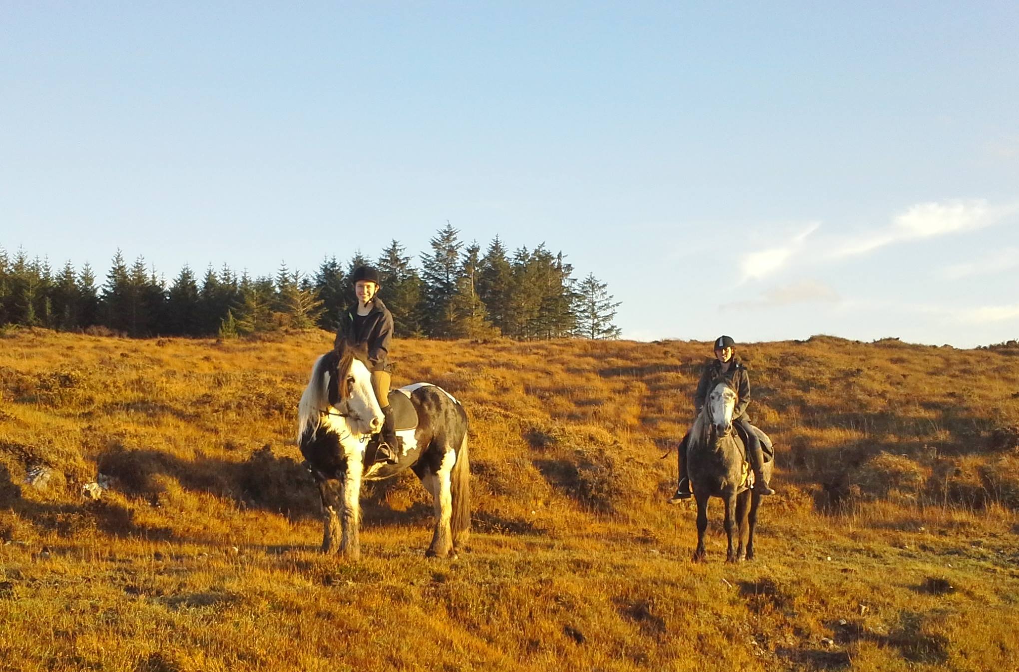 The ClareBurren Trail Horse Riding Holidays Ireland Unicorn Trails