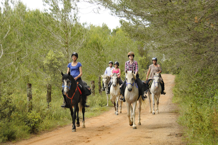 Catalan Long Weekend Two Beaches, Spain Horse Riding Holidays