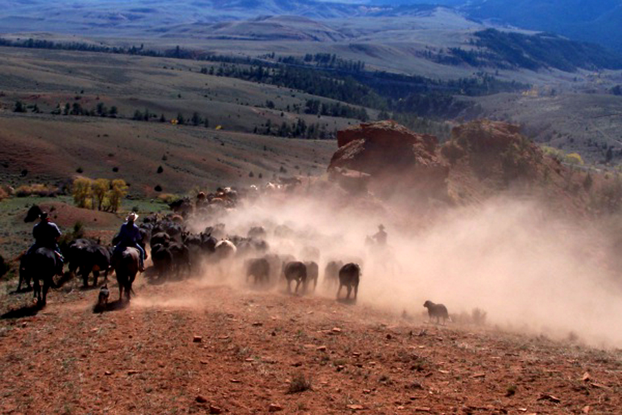 Montana Working Ranch, USA Horse Riding Holidays