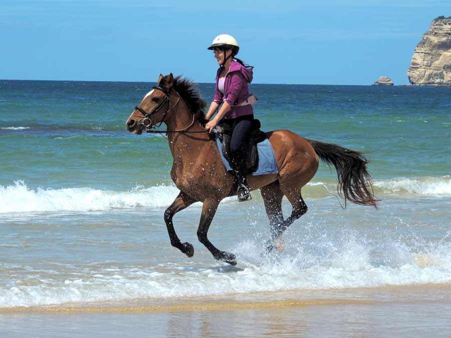 Horse Riding Holidays in Spain Horseback Vacations Unicorn Trails