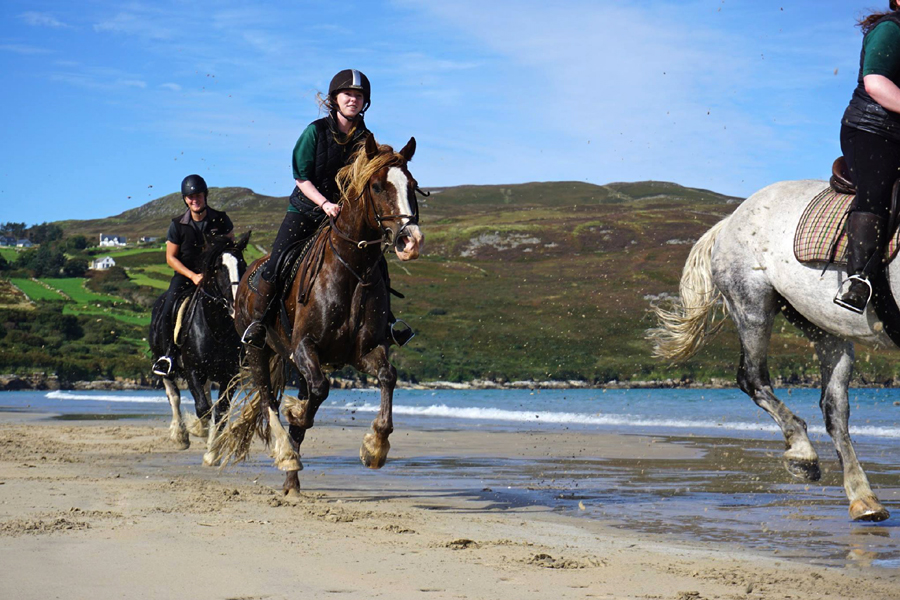 Donegal Beach and Mountain Ride, Ireland Horse Riding Holidays