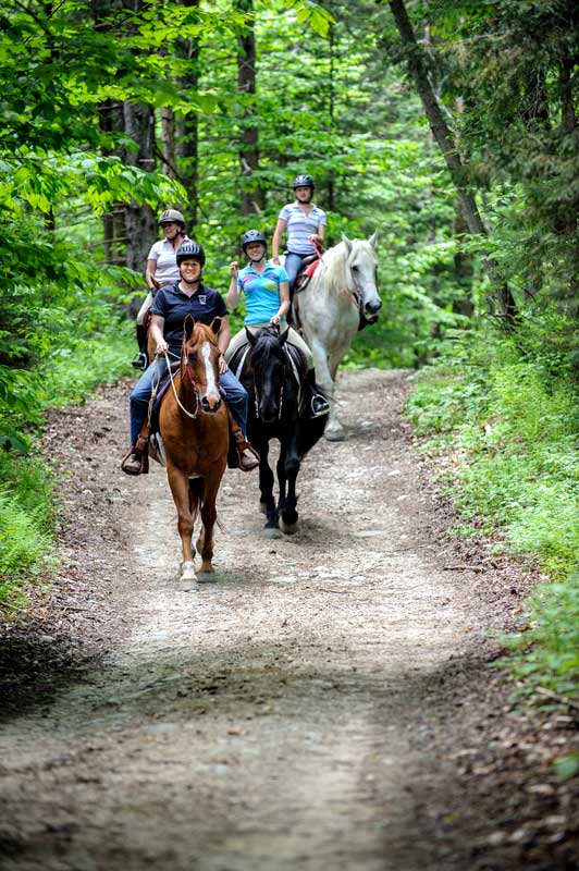 Horse Riding Holidays USA The Best Horseback Vacations in America