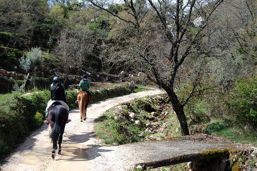 Panoramic Plateau Horse Riding Holidays Portugal Unicorn Trails