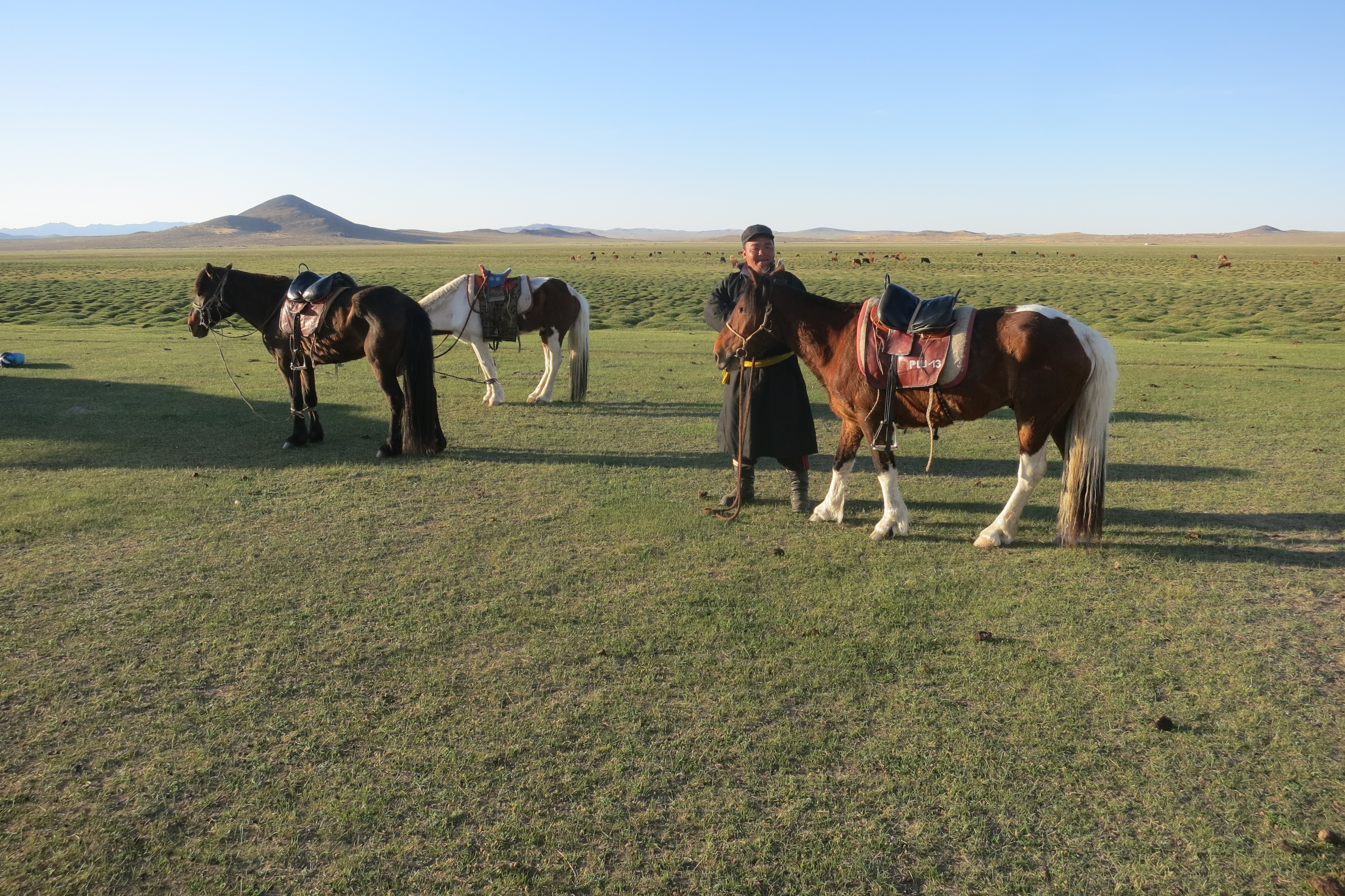 Mongolia Horse Riding Holidays Mongolian Horseback Vacations