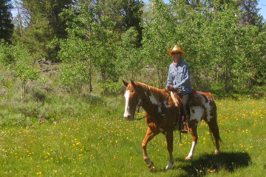 Wyoming Wilderness Trips, USA Horse Riding Holidays