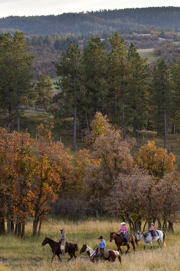 Wyoming, Black Hills Working Ranch, USA Horse Riding Holidays