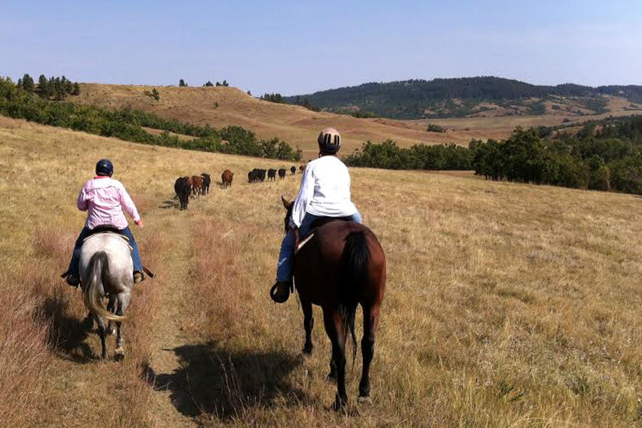 Wyoming, Black Hills Working Ranch, USA Horse Riding Holidays