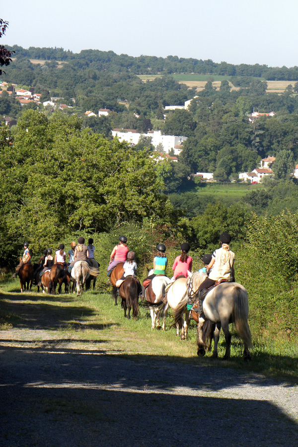 Blond Mountains Trail, France Horse Riding Holidays