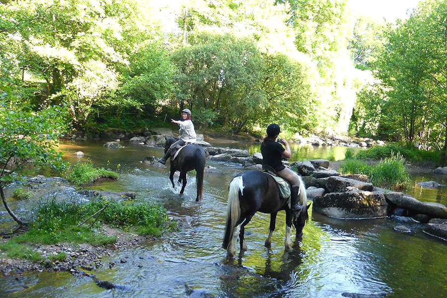 PoitouCharentes Farm stay with Mini Trail, France Horse Riding Holidays