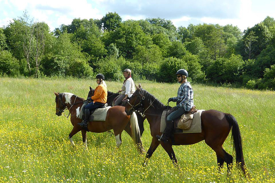 PoitouCharentes Farm stay with Mini Trail, France Horse Riding Holidays