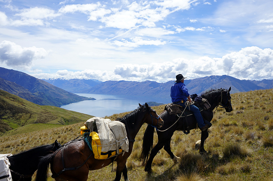 Hunter River Valley New Zealand Riding Holidays
