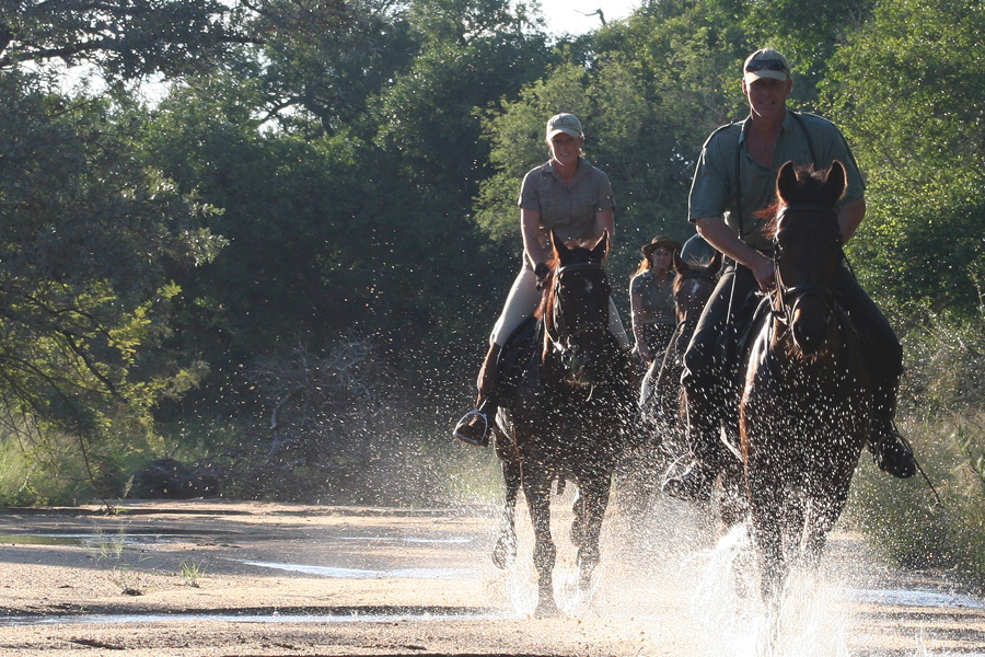 Horse Riding Safaris South Africa Horseback Holidays Unicorn Trails