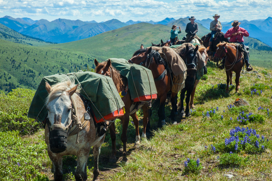 Northern Rockies Pack Trip, Canada Horse Riding Holidays