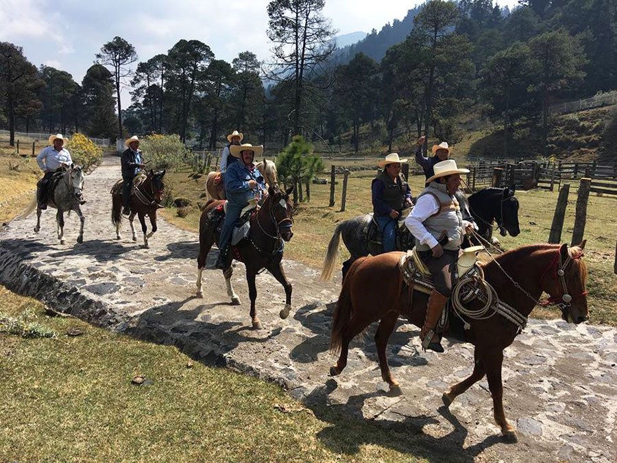 Mexico City Ranch Stay Ranch Holidays in Mexico Unicorn Trails