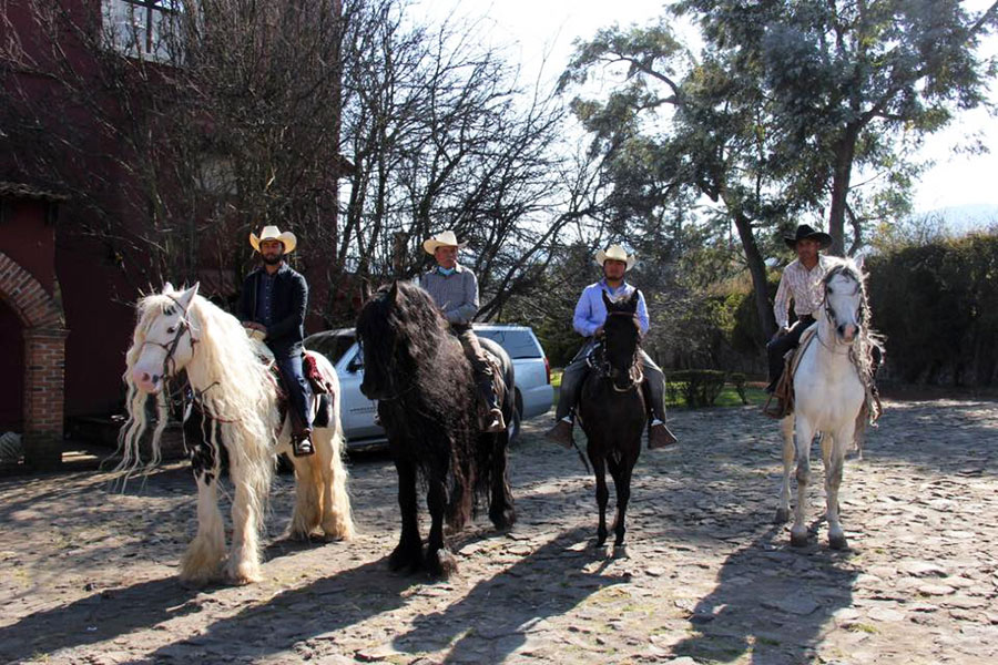 Mexico City Ranch Stay, Mexico Horse Riding Holidays