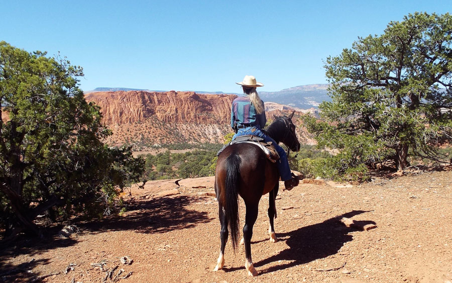 Utah Wilderness and Canyon Ride, USA Horse Riding Holidays