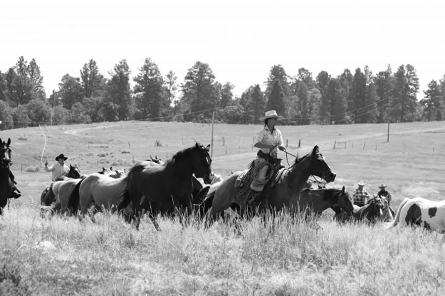 Lakeside Ranch Horse Riding Holidays in Wyoming, USA