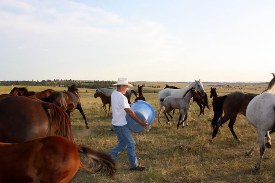 Lakeside Ranch Horse Riding Holidays in Wyoming, USA