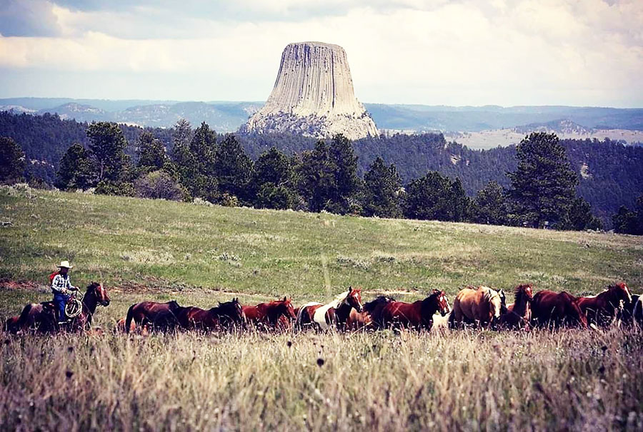 Lakeside Ranch Horse Riding Holidays in Wyoming, USA