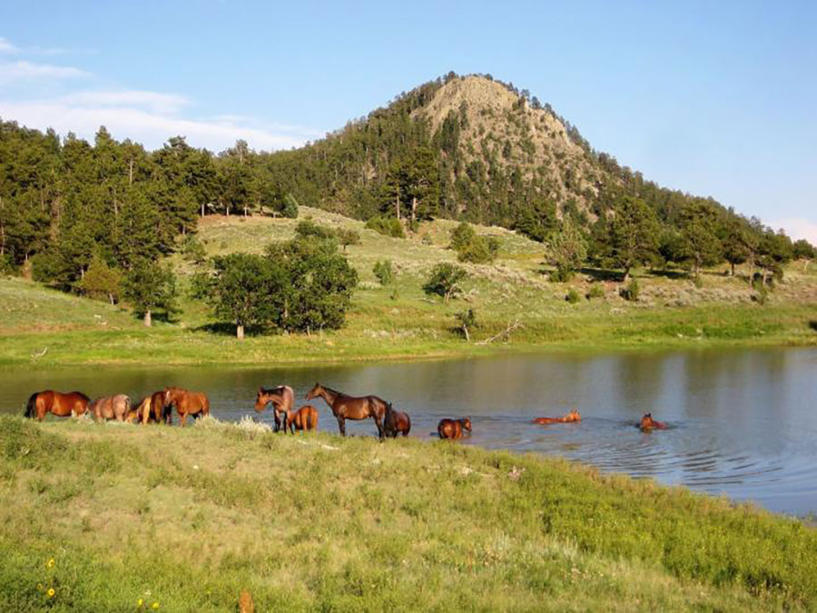 Lakeside Ranch Horse Riding Holidays in Wyoming, USA