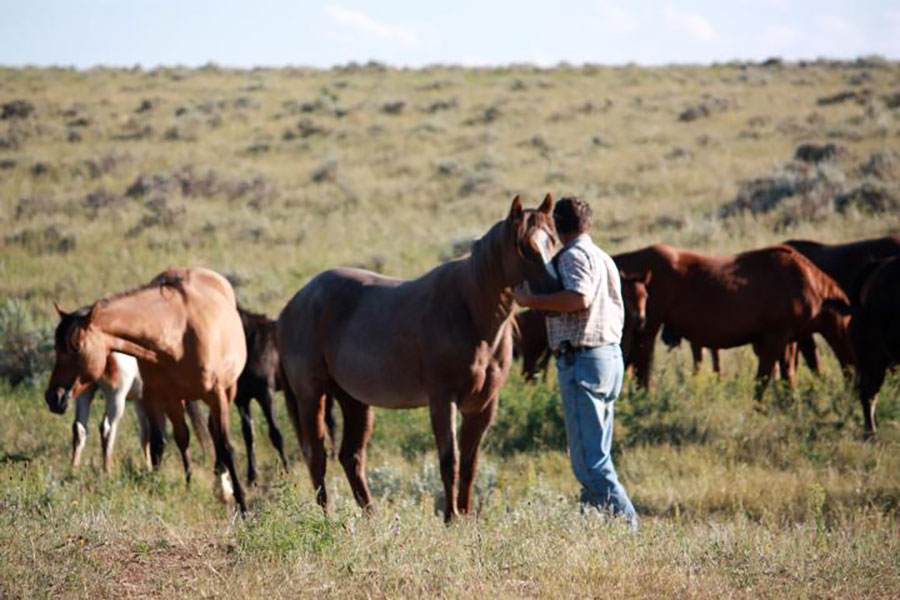 Lakeside Ranch Horse Riding Holidays in Wyoming, USA