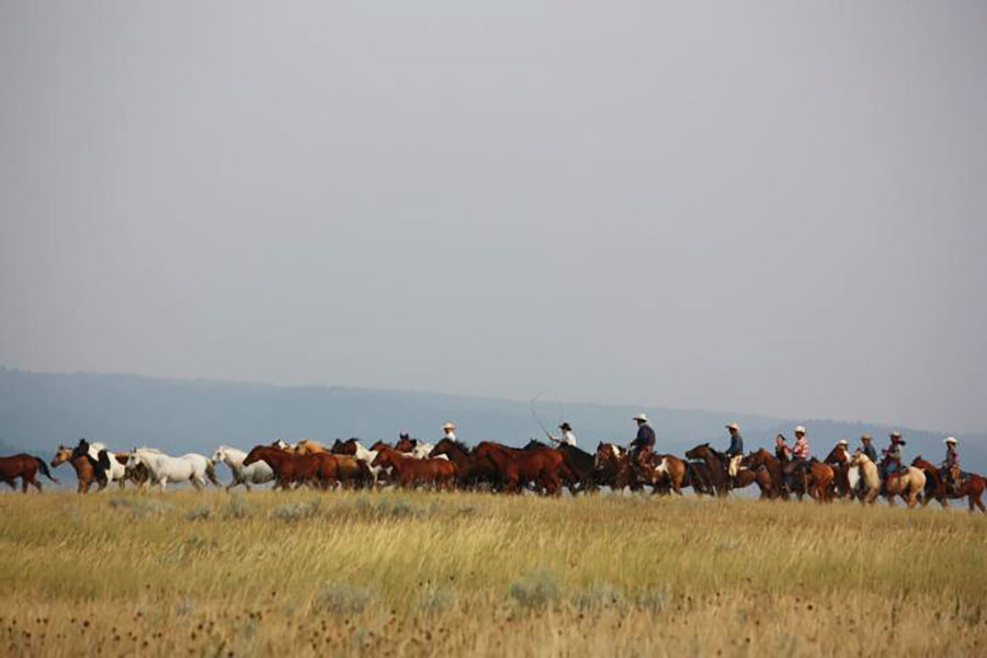 Lakeside Ranch Horse Riding Holidays in Wyoming, USA