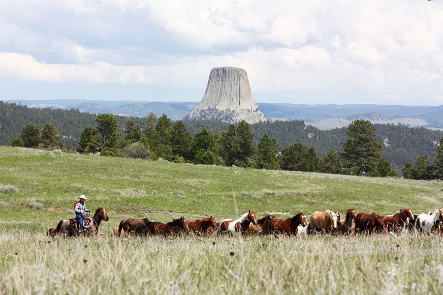 Lakeside Ranch Horse Riding Holidays in Wyoming, USA
