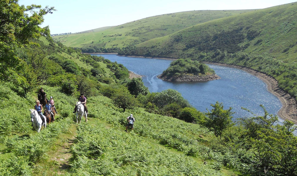 Dartmoor Crossing Horse Riding Holidays in England Unicorn Trails