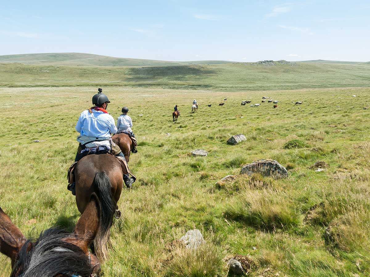 Dartmoor Crossing Horse Riding Holidays in England Unicorn Trails
