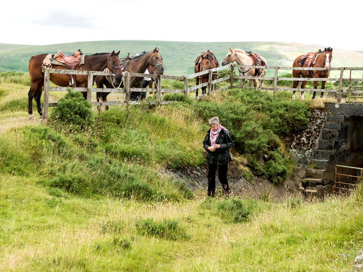 Dartmoor Crossing Horse Riding Holidays in England Unicorn Trails