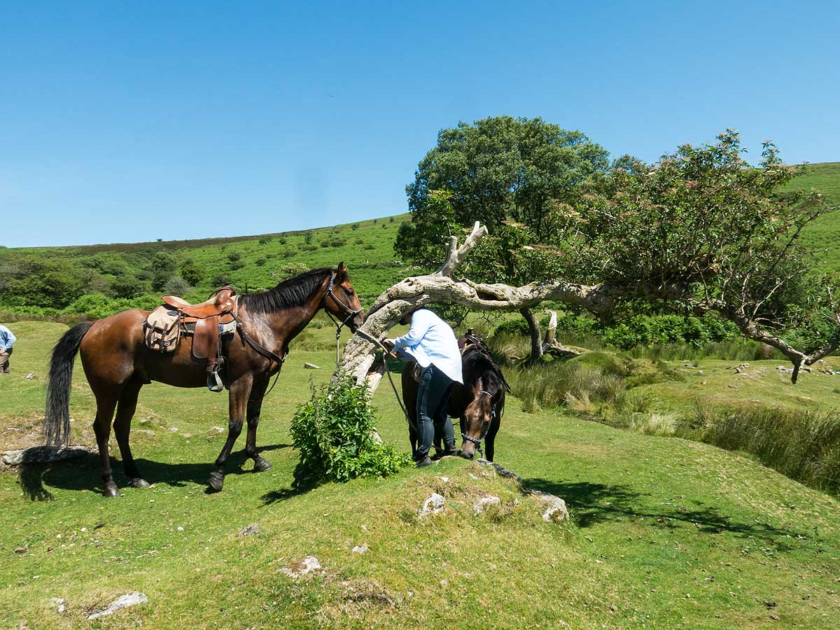 Dartmoor Crossing Horse Riding Holidays in England Unicorn Trails