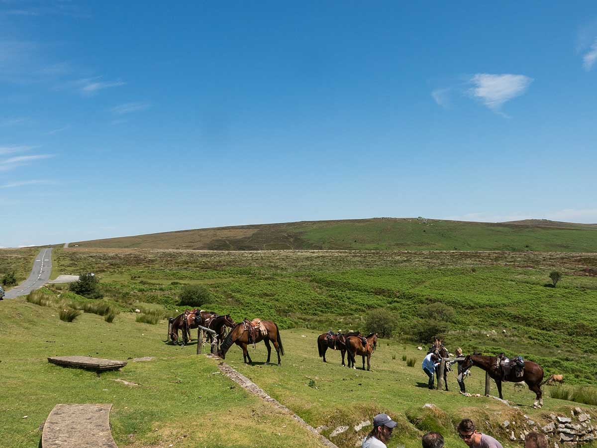 Dartmoor Crossing Horse Riding Holidays in England Unicorn Trails