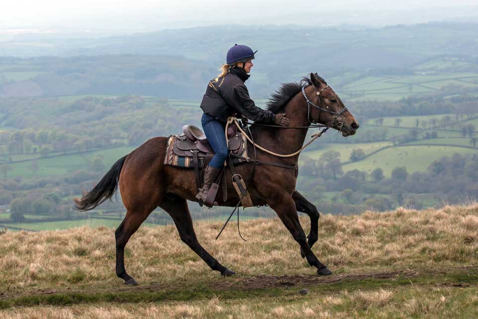 Dartmoor Crossing Horse Riding Holidays in England Unicorn Trails