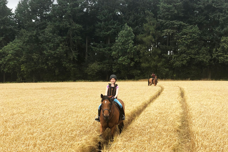 Wiltshire Estate Ride, UK Horse Riding Holidays