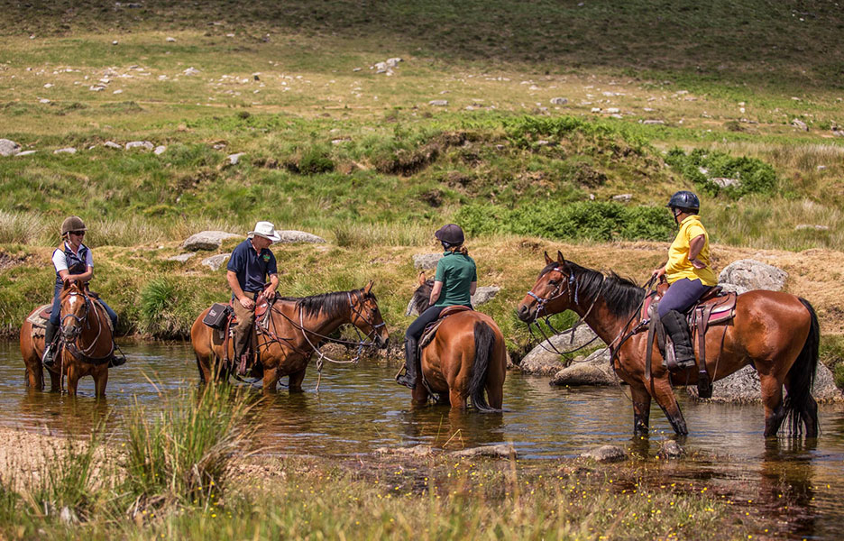 Dartmoor Short Break Horse Riding Holidays in England