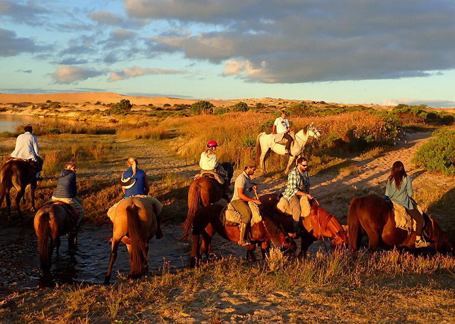 Ranch, Wetlands and Beach Trail, Uruguay Horse Riding Holidays