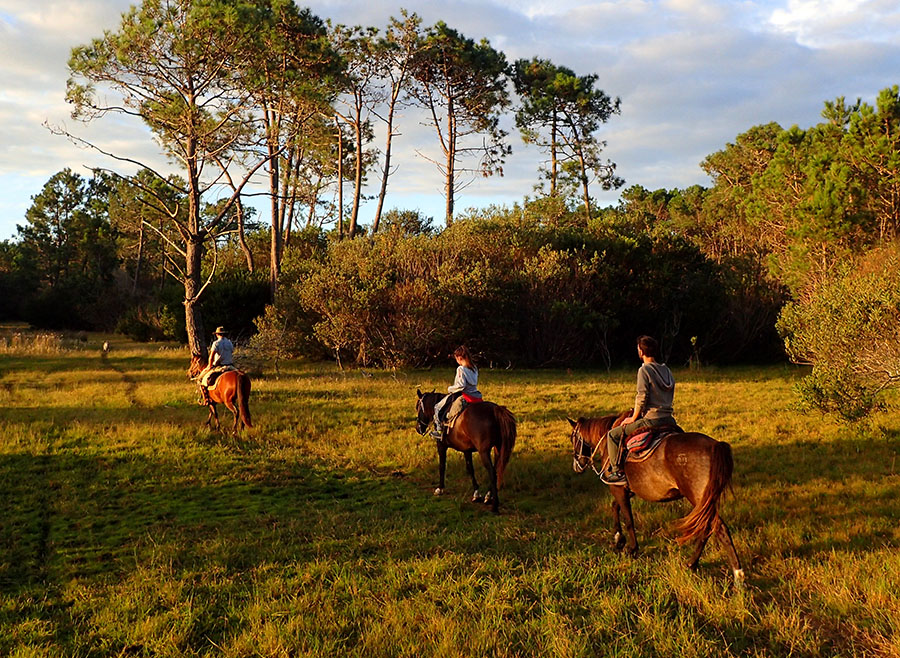 Ranch, Wetlands and Beach Trail, Uruguay Horse Riding Holidays